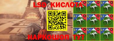 гидропоника Гусиноозёрск