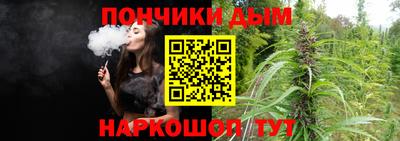 гидропоника Гусиноозёрск