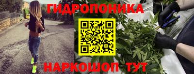 молекула духа Гусь-Хрустальный