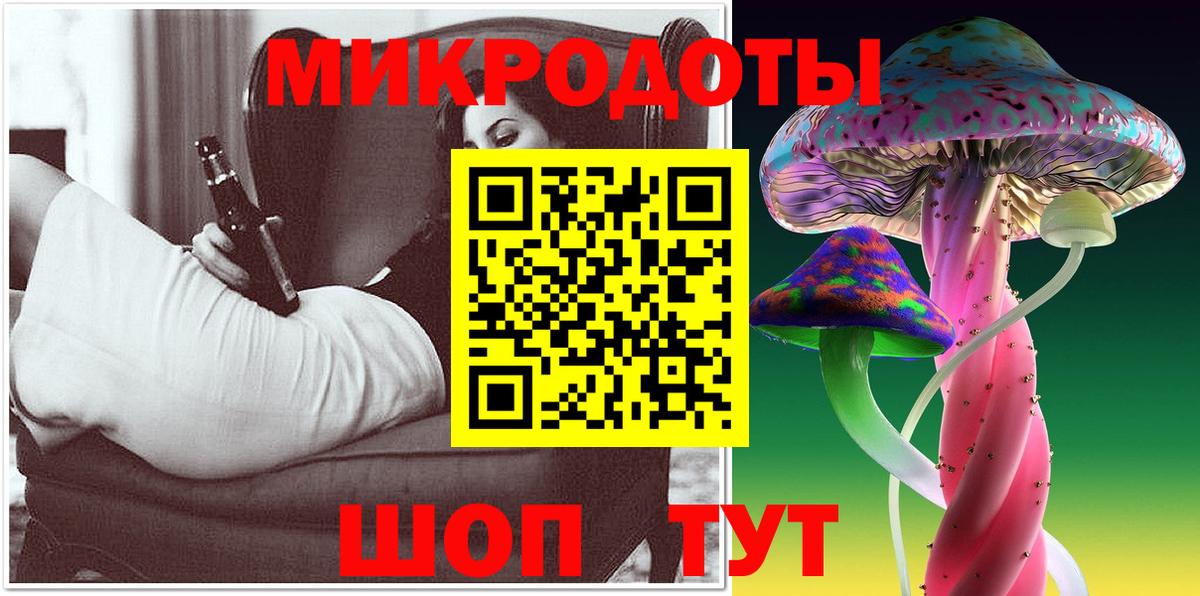 Псилоцибиновые грибы Psilocybine cubensis Шелехов